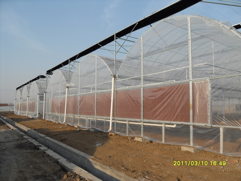 SDC12470.JPG