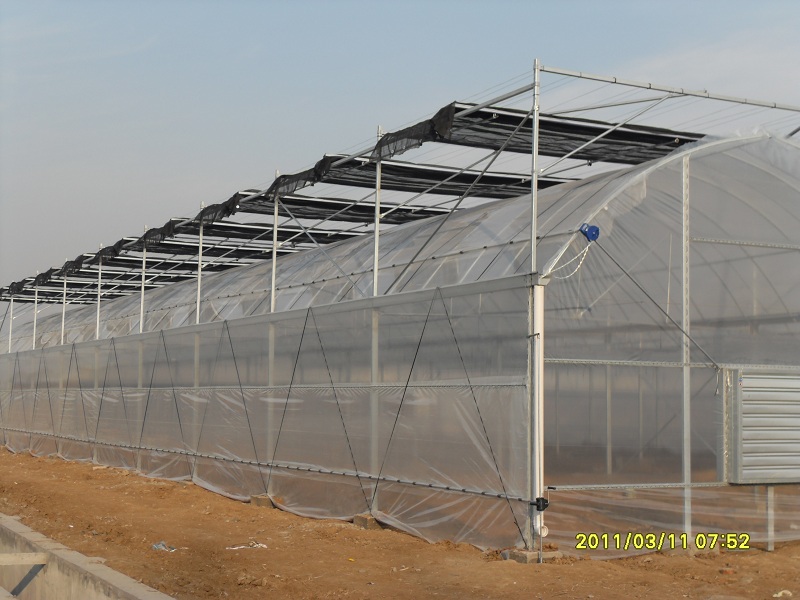 SDC12482.JPG