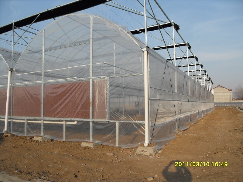 SDC12471.JPG