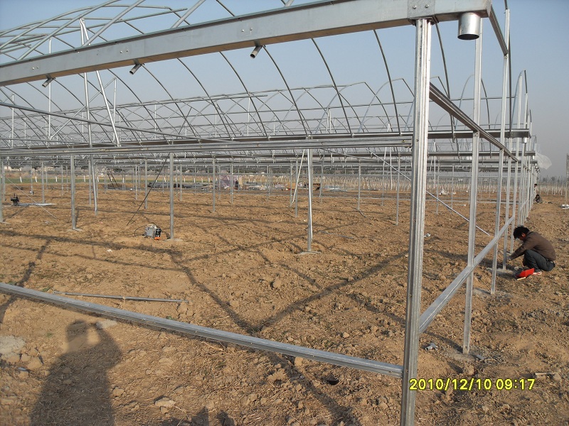 SDC12259.JPG