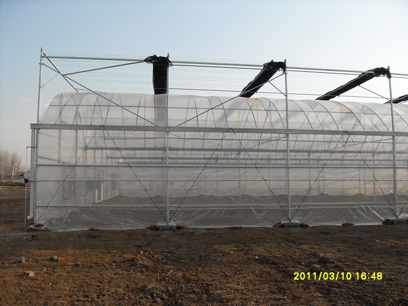 SDC12465.JPG