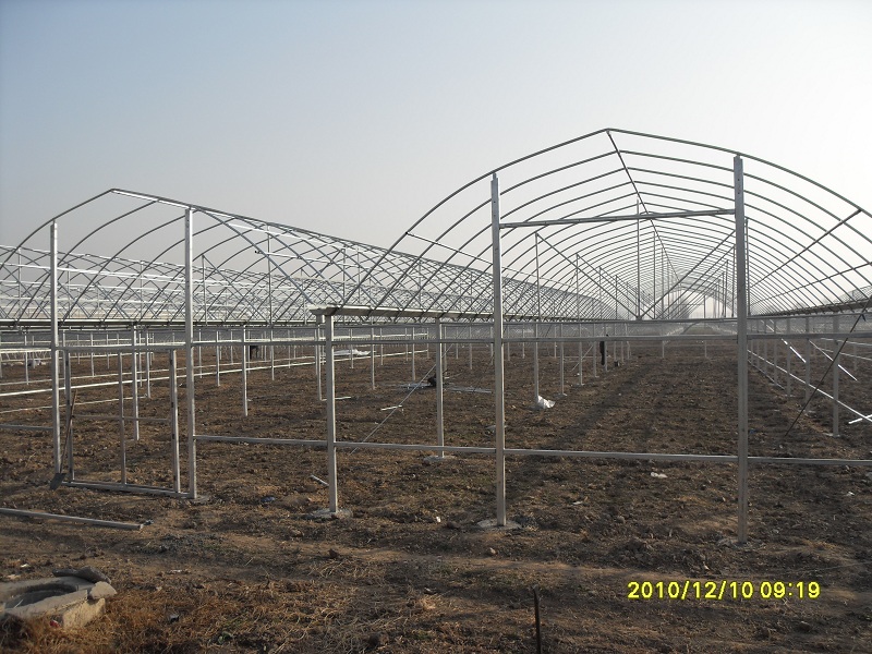 SDC12269.JPG