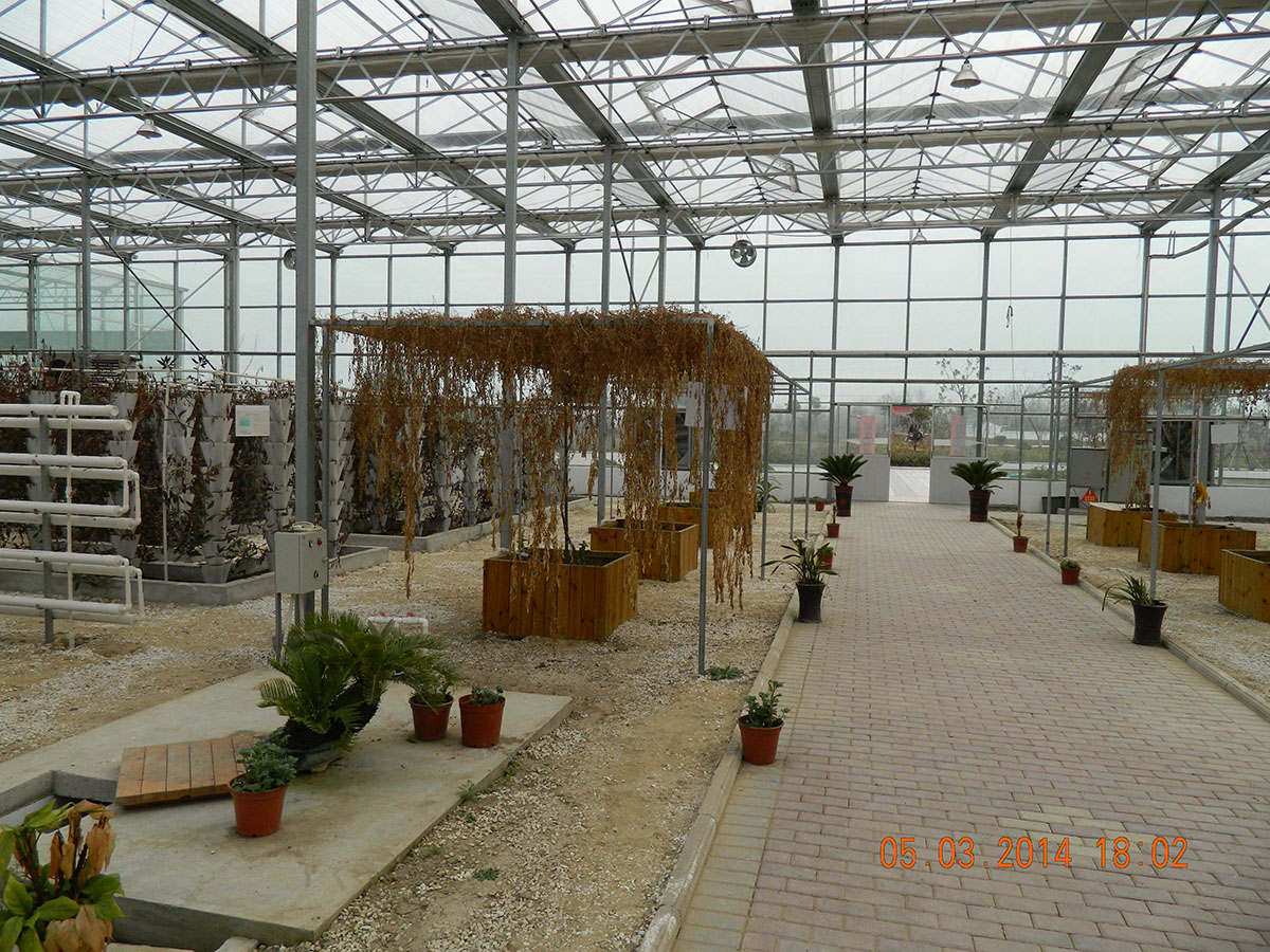 DSCN0350.JPG