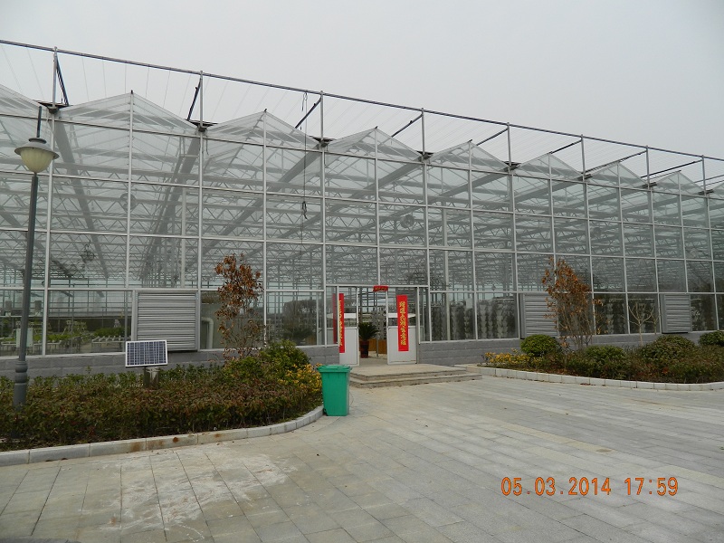 DSCN0339.JPG