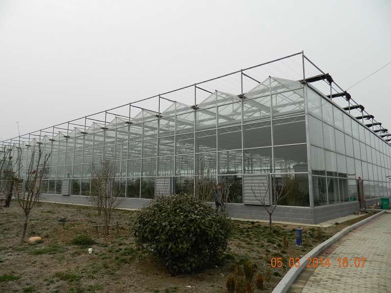 DSCN0364.JPG