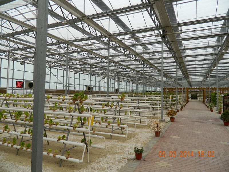 DSCN0346.JPG