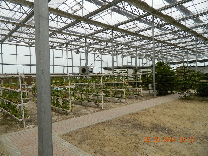 DSCN0355.JPG