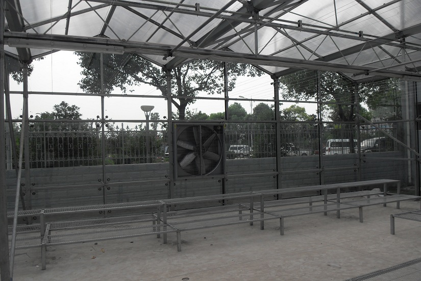SDC12705.JPG