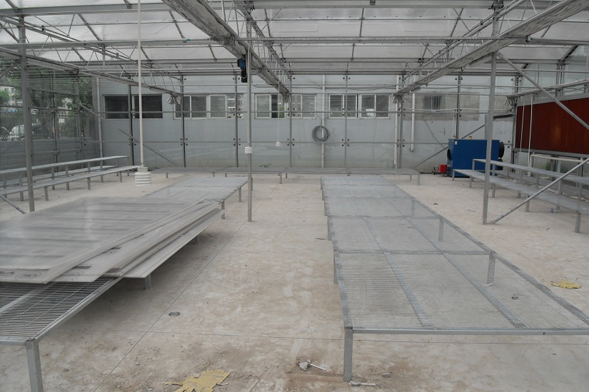 SDC12701.JPG