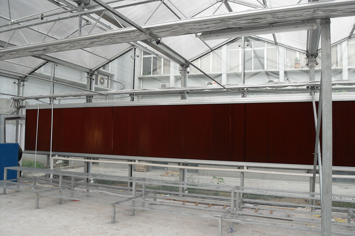 SDC12704.JPG