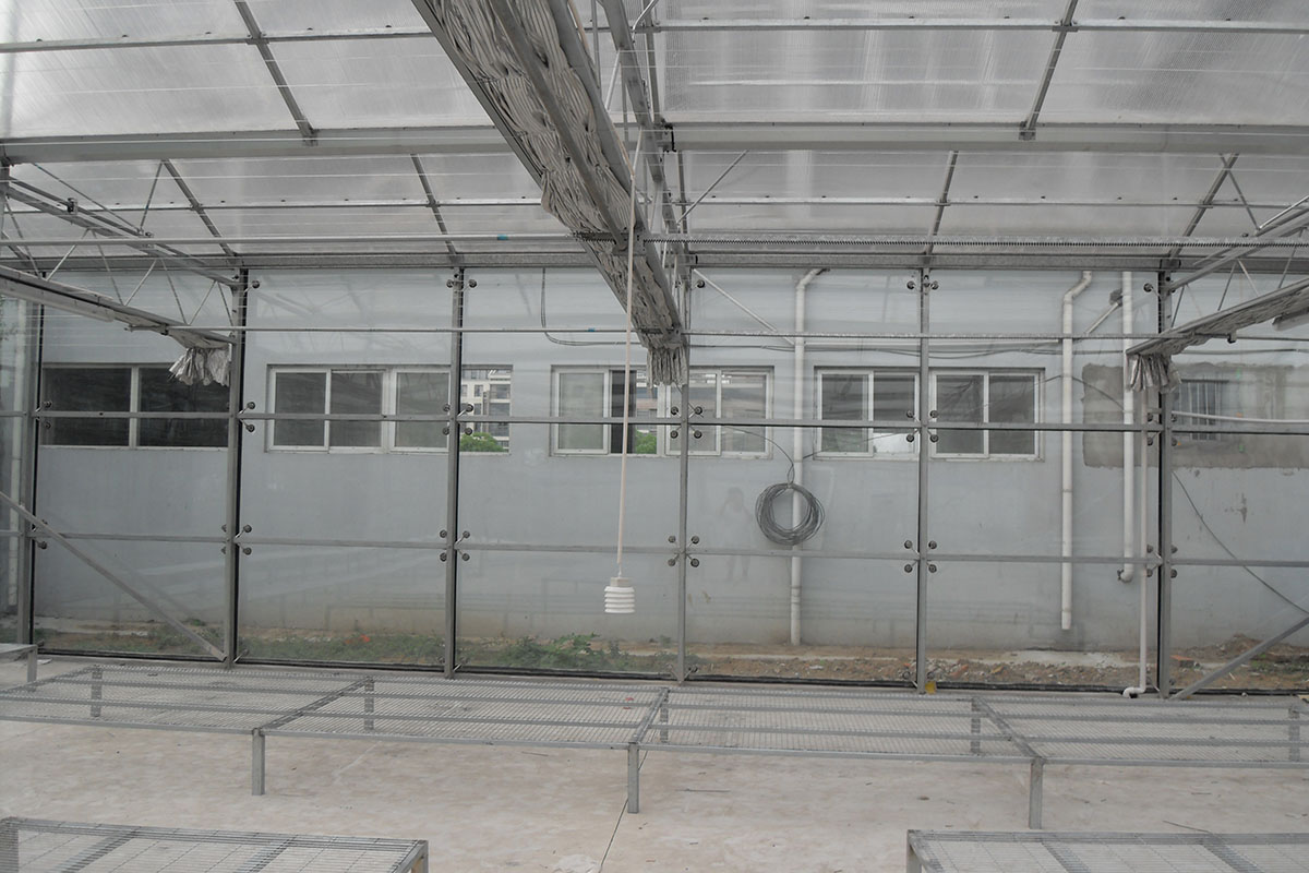 SDC12702.JPG
